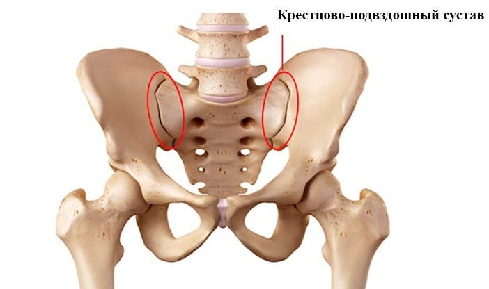 Источник: Яндекс. Картинки