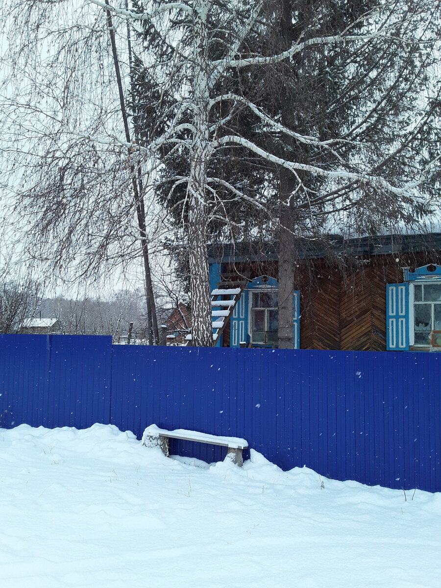 Затяжная  зима. Фото автора.