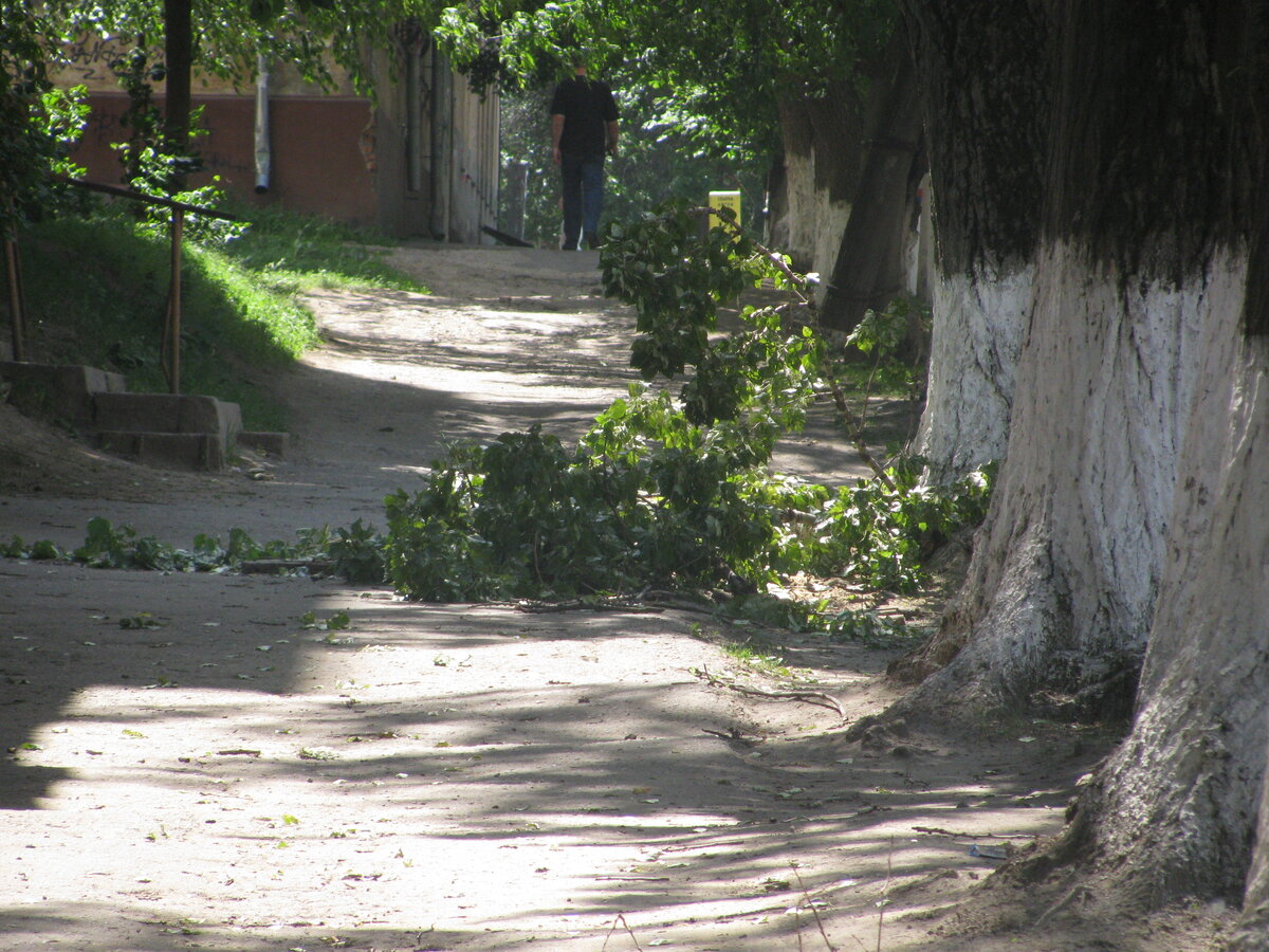 13.06.2010 года