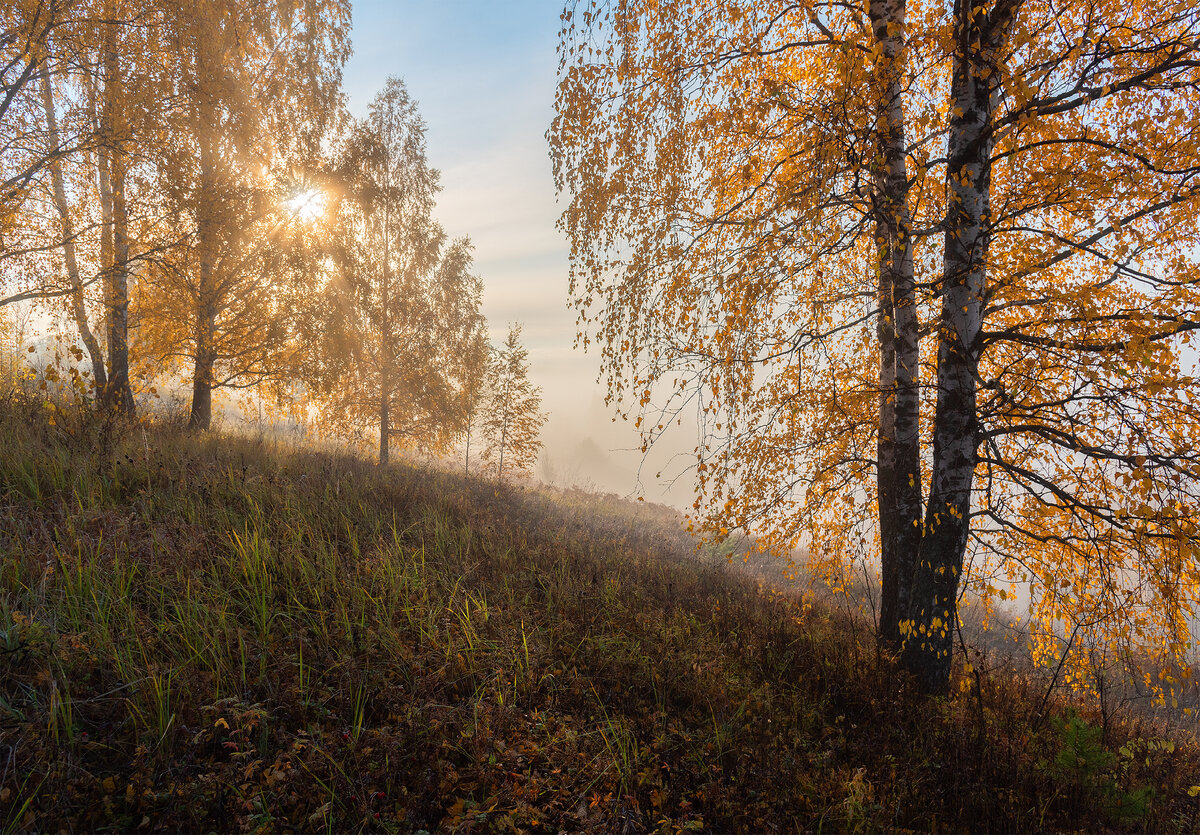 средняя осень фото