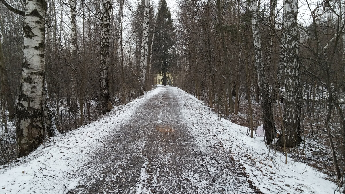 Дорожка к главному зданию радиоцентра. Отойдя от неё в сторону, можно было набрать пакетик грибов. А какая вкусная земляника росла на антенных полях! 