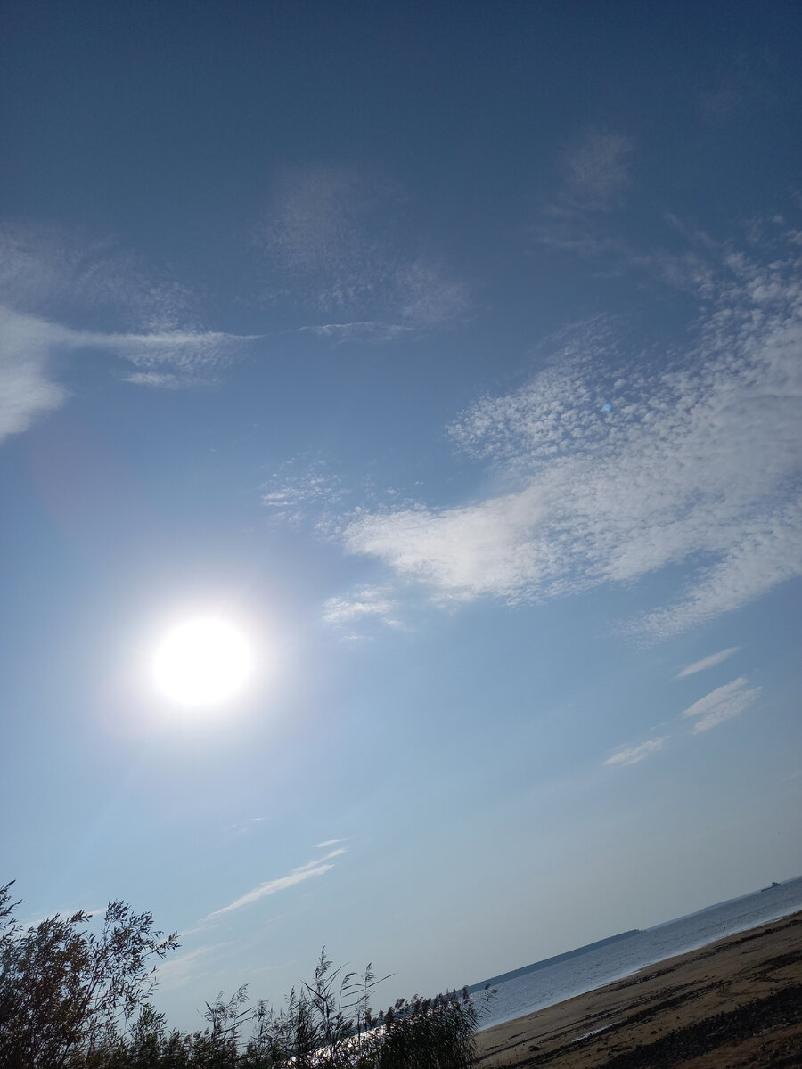 Просто хороший день. Фото автора.