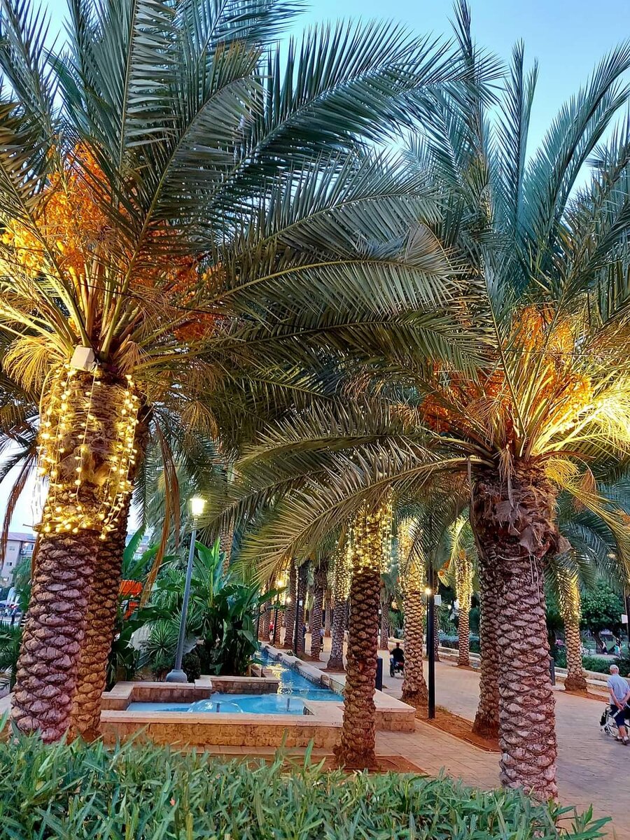 Парк Ришон Леционе 