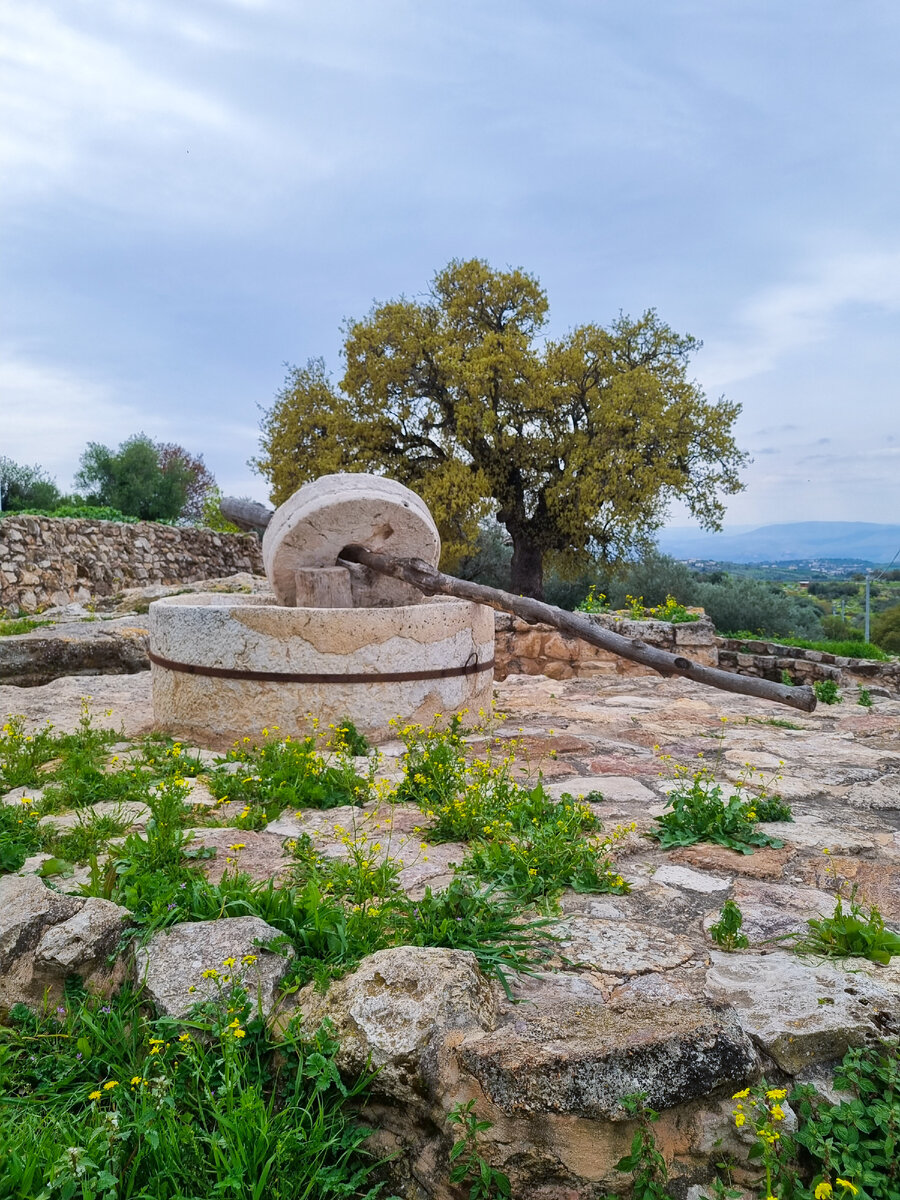 Руины древней маслобойни, Ажлун, Иордания (фото автора).