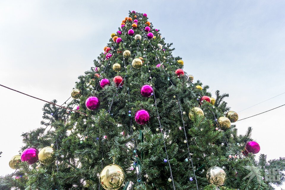     Уже 9 ноября в Рязани начнут устанавливать новогодние ели. Олег ЗОЛОТО