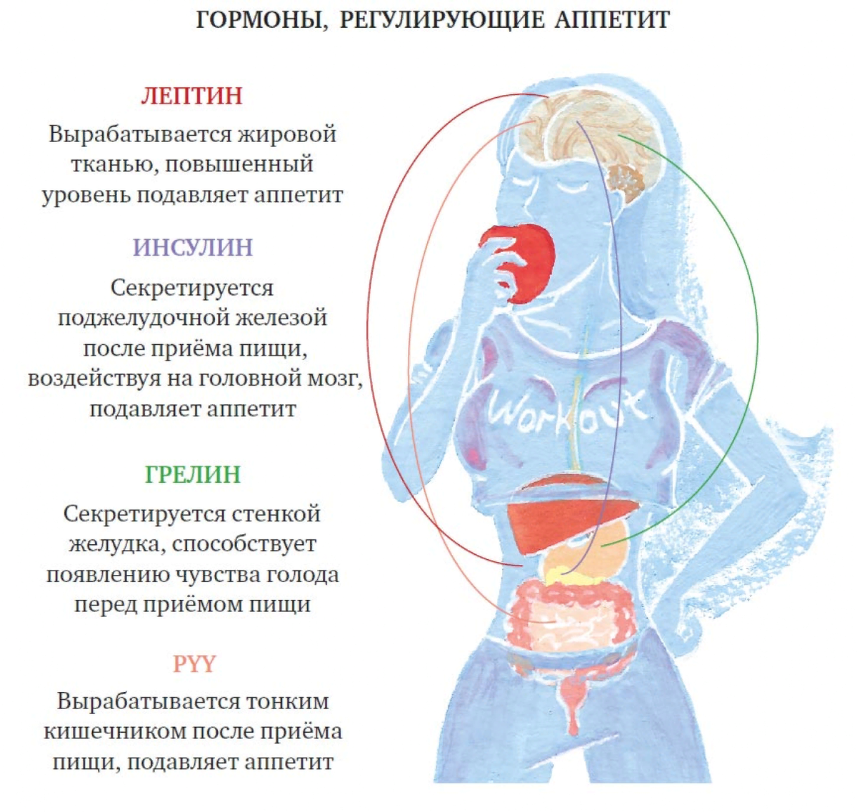 Слабость и хочется есть