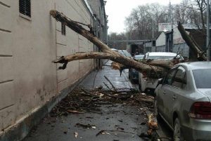 Фото: Комитет по благоустройству Санкт-Петербурга
