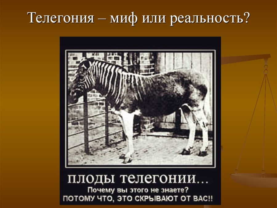 Яндекс Картинки. Любовь земная и небесная.  ppt-online.org