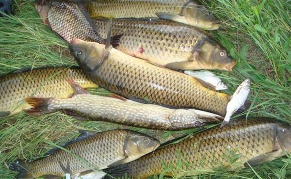 Источник фото: proza.ru