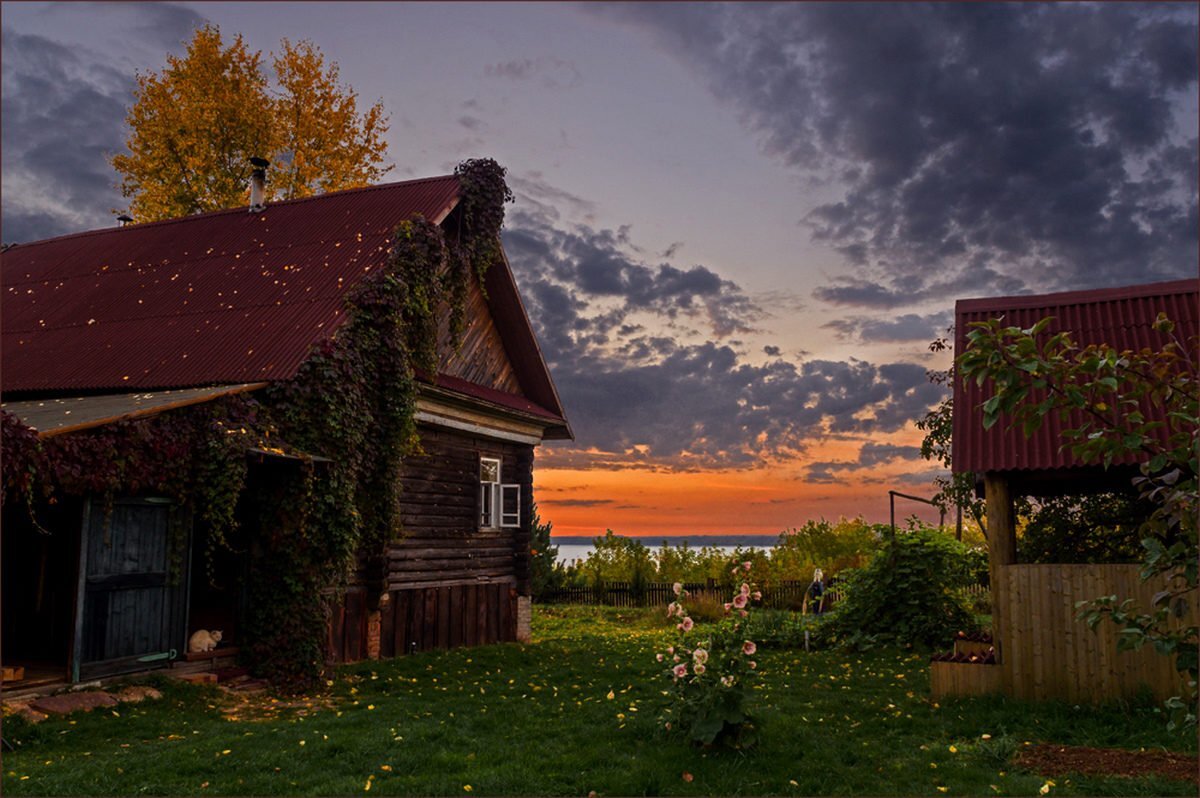 Яндекс. Картинки