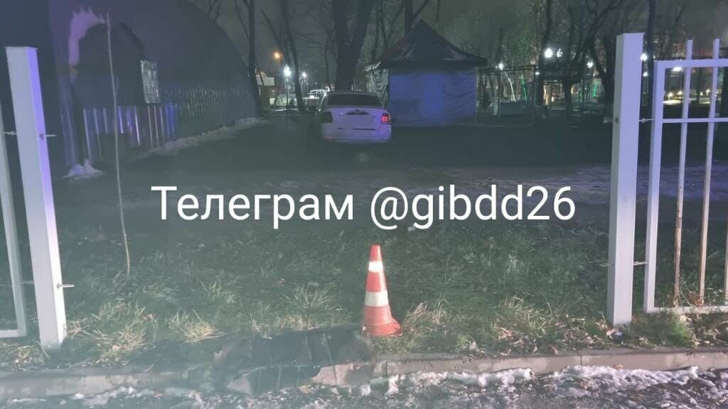     В Минеральных Водах пьяный водитель врезался в дерево и снес ограду на территории парка, сообщили в УГИБДД по региону.