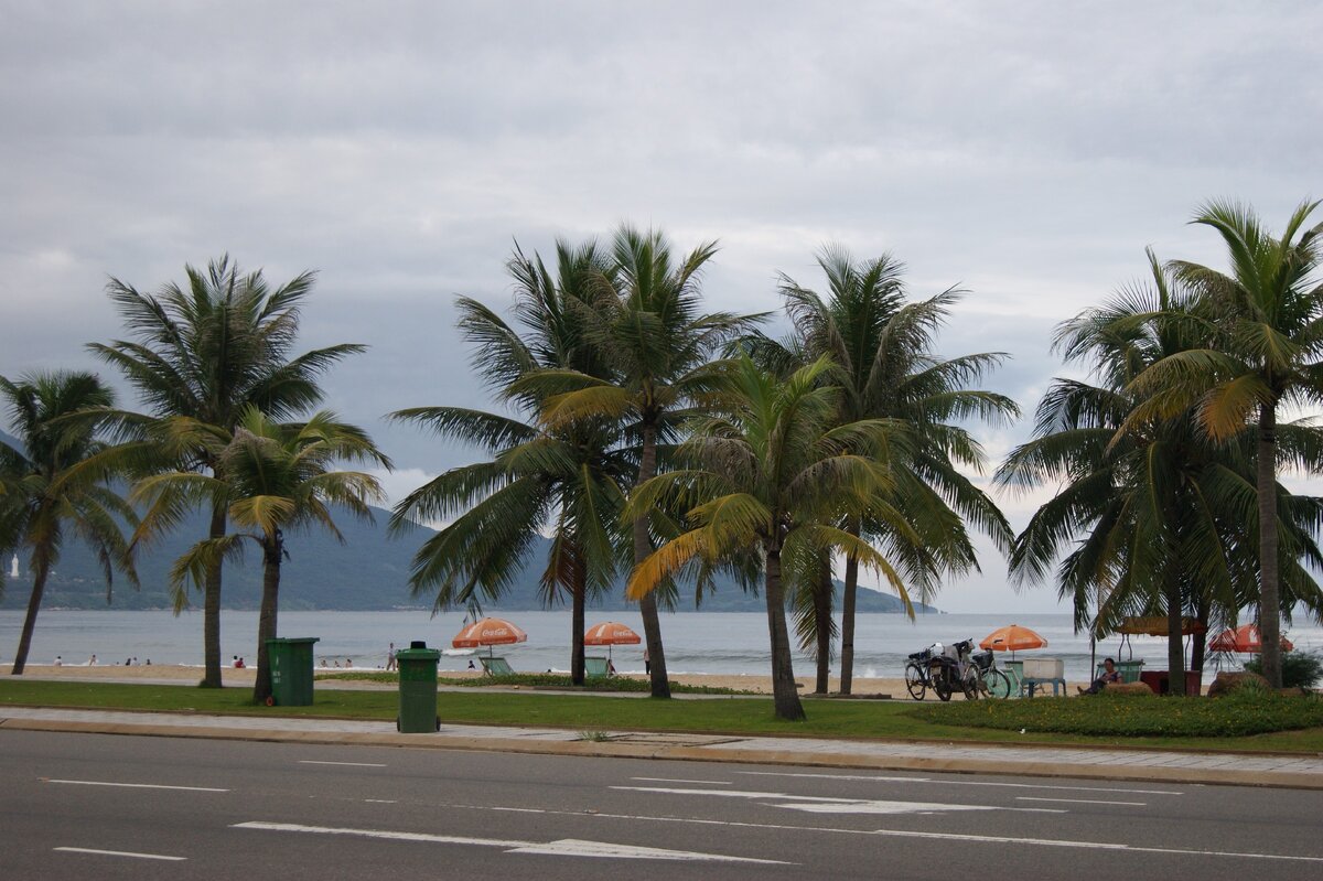 Виды в пути