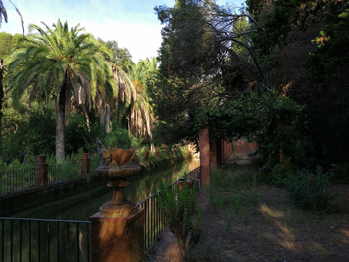 Йогой лучше заниматься в таком месте