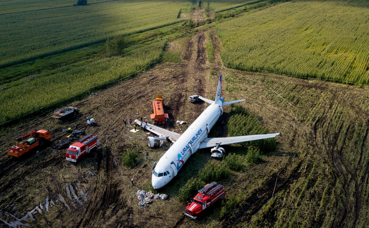 Самолет находящийся в полете 165. А321 Уральские авиалинии кукурузное поле. На кукурузном поле Airbus a321. А321 Уральские авиалинии катастрофа. Посадка на кукурузное поле а 321.