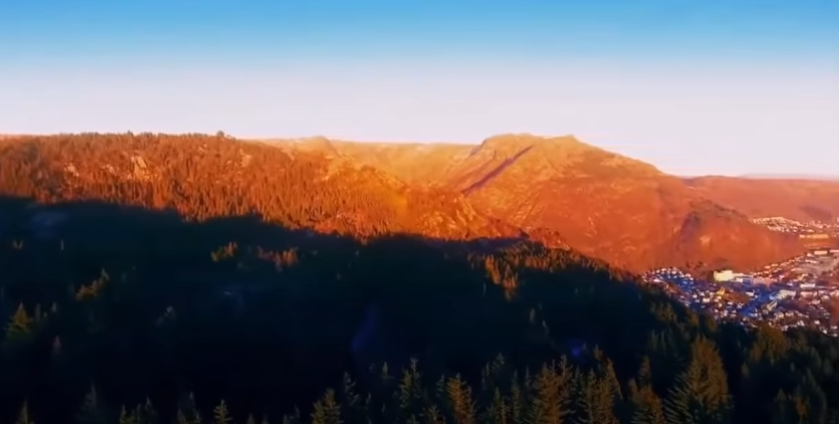 Настоящие ведьмы не могут существовать отдельно от природы.