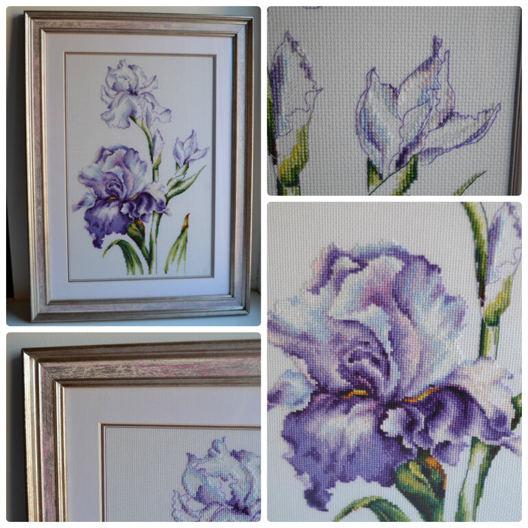 Фото из свободного доступа