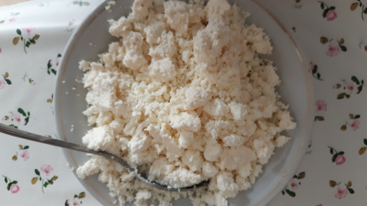 Козий творог