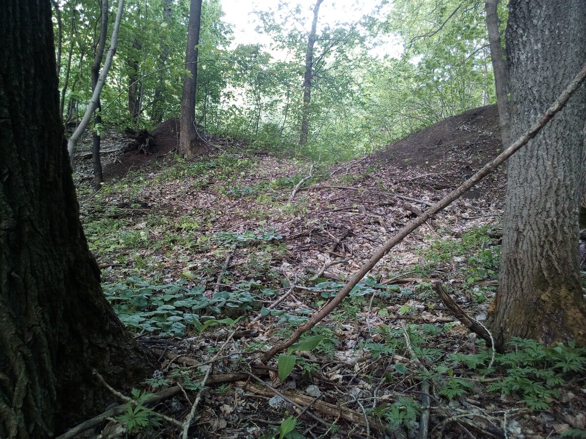 Фото с обратного пути, но таких дорог полно в лесу. Фото с личного архива