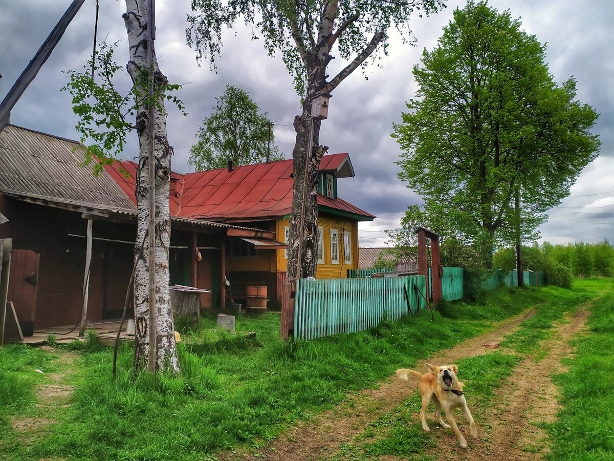 Прогулки по северной двине