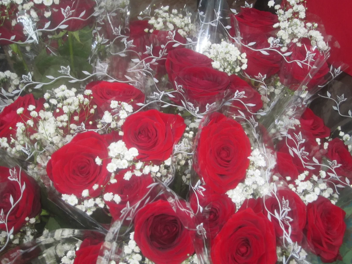 Букеты алых роз на торжественном мероприятии (фото автора)