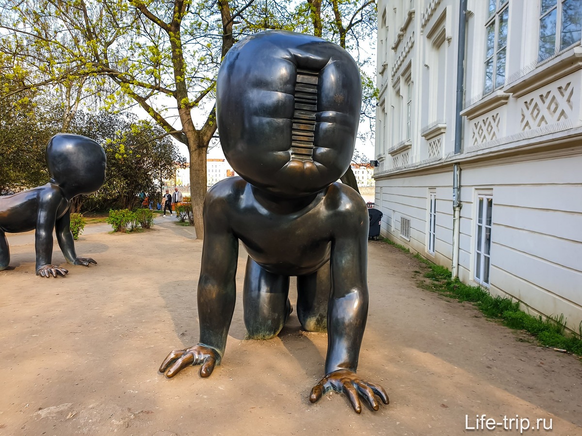 Ползущие младенцы. @ Источник https://praga-praha.ru/miminka-babies/