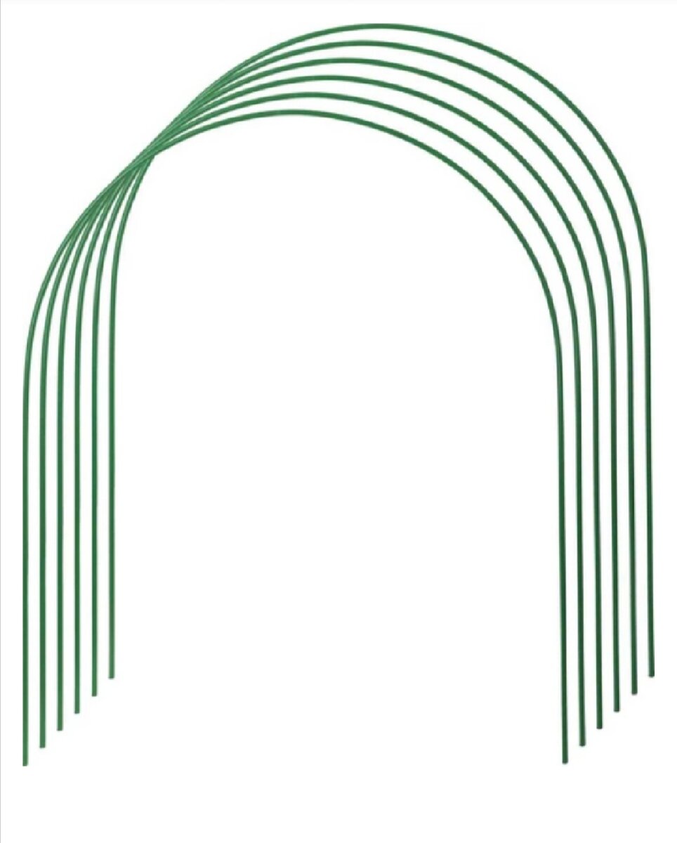 Самые обыкновенные. 