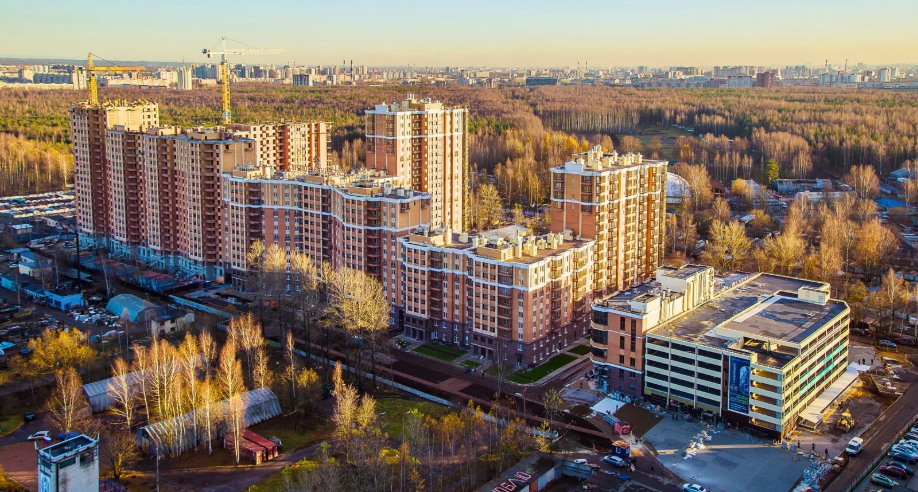 Обзоры без купюр 