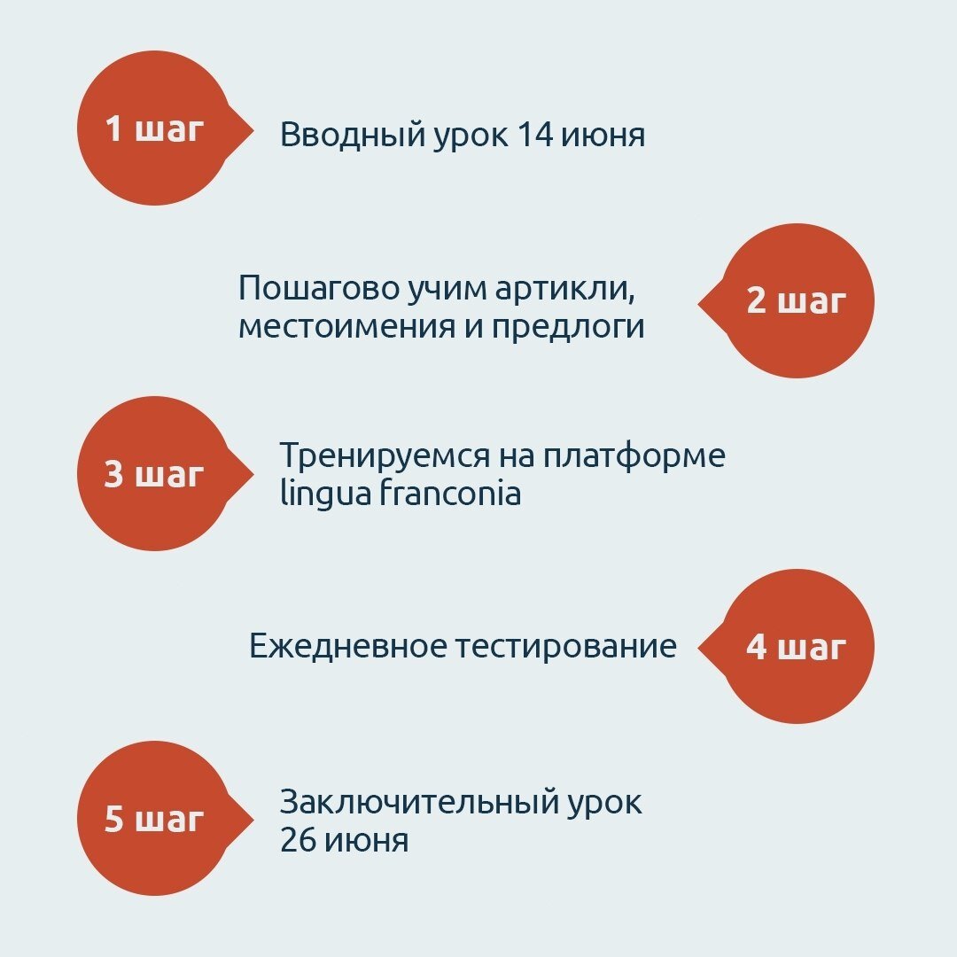 lingua franconia. Онлайн-школа немецкого языка. Спринт по падежам