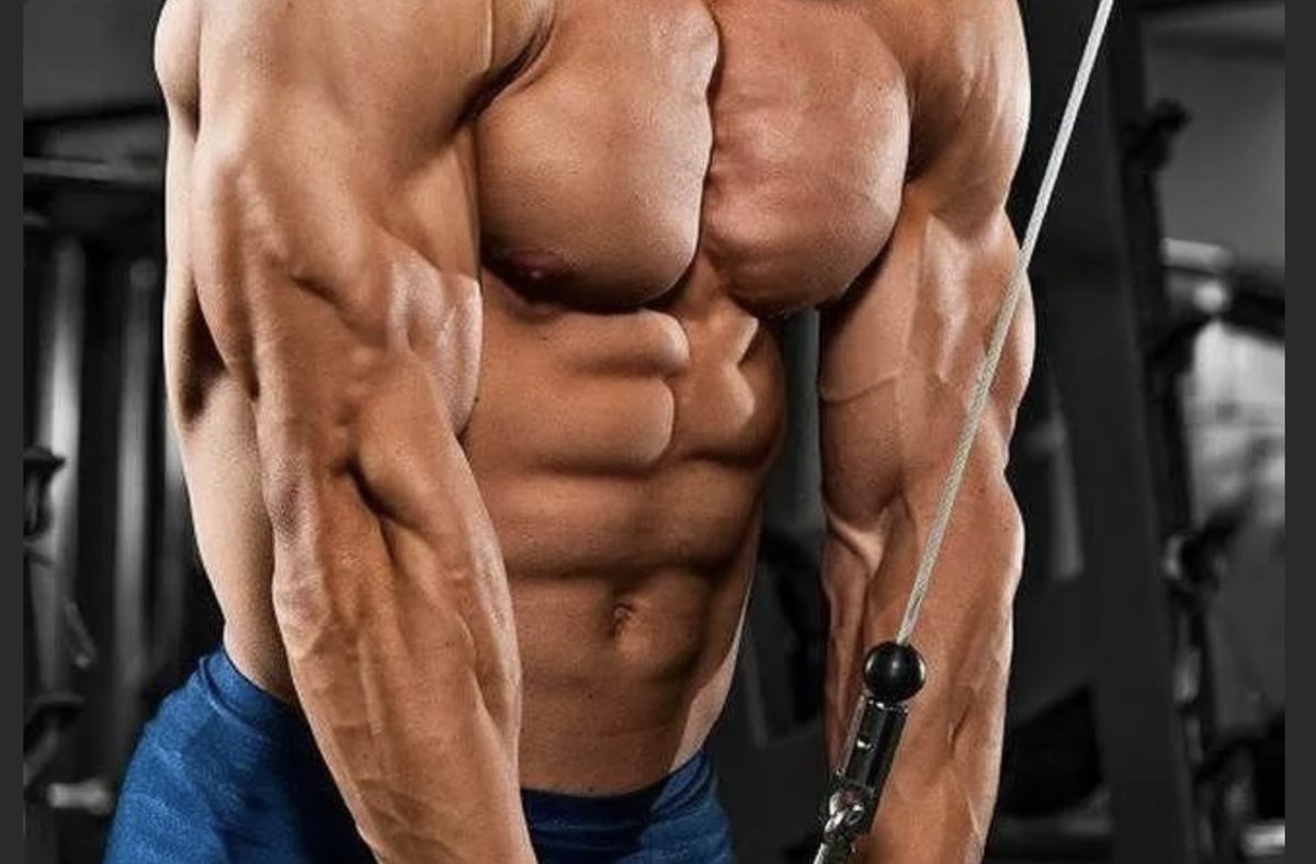 Составить программу тренировок