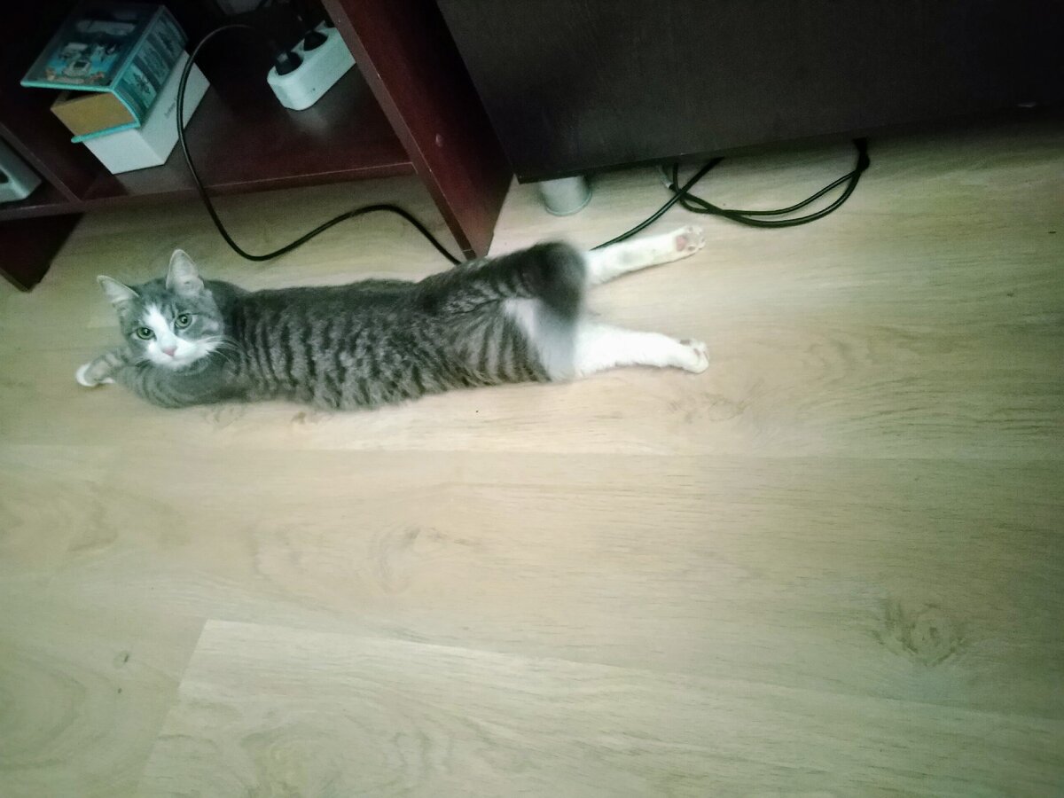 Спать? Не видела и не слышала, что это?