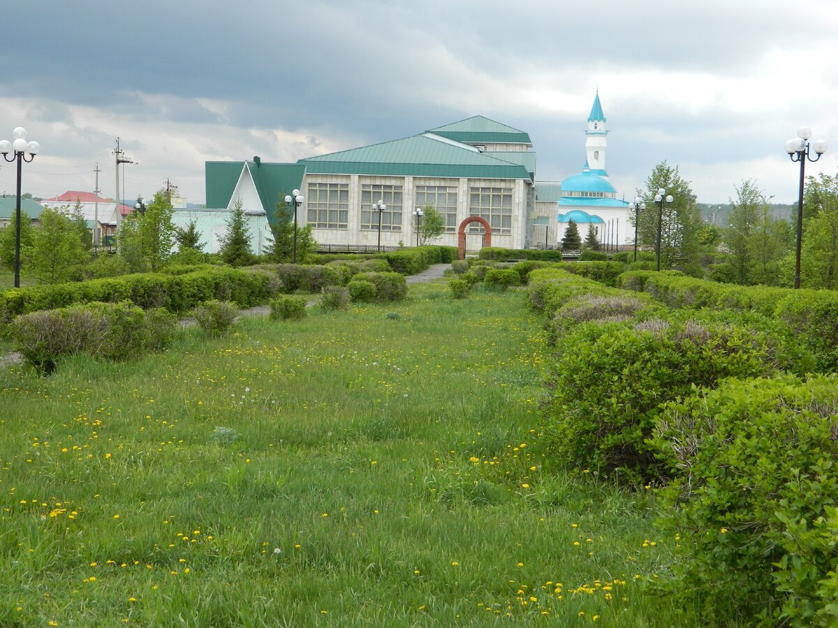 Языков деревня. Село Языково Благоварский район. Парк село Языково Благоварский район. Языково село Башкирия. Башкортостан Благоварский район село Языково.