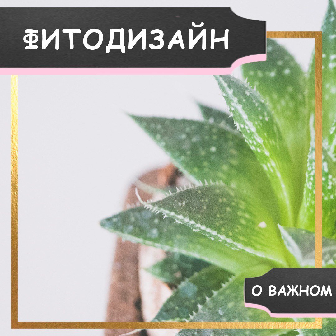 ВСЕГДА УЗНАВАЙ НОВОЕ