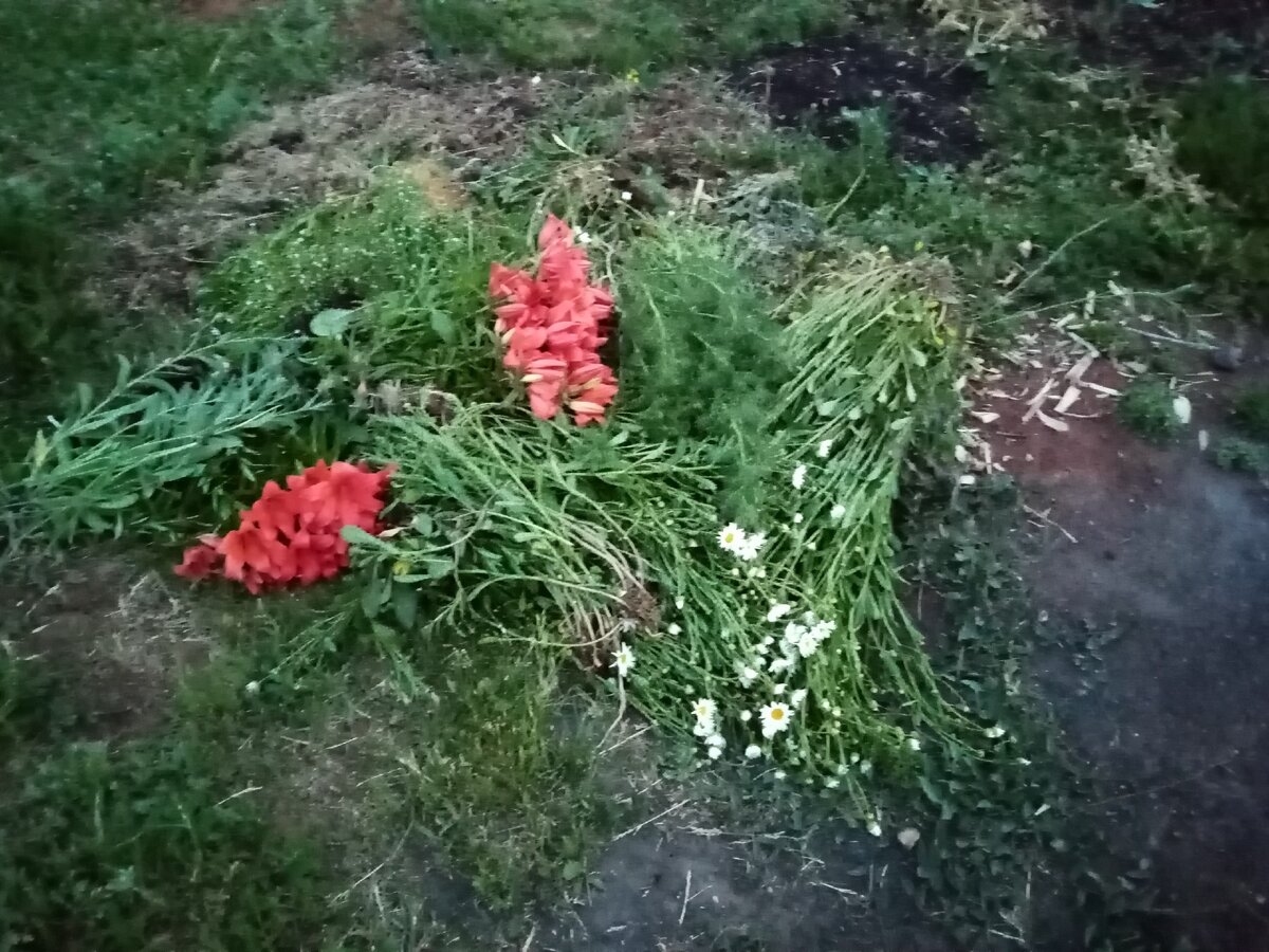 Вырванные лилии и ромашки 