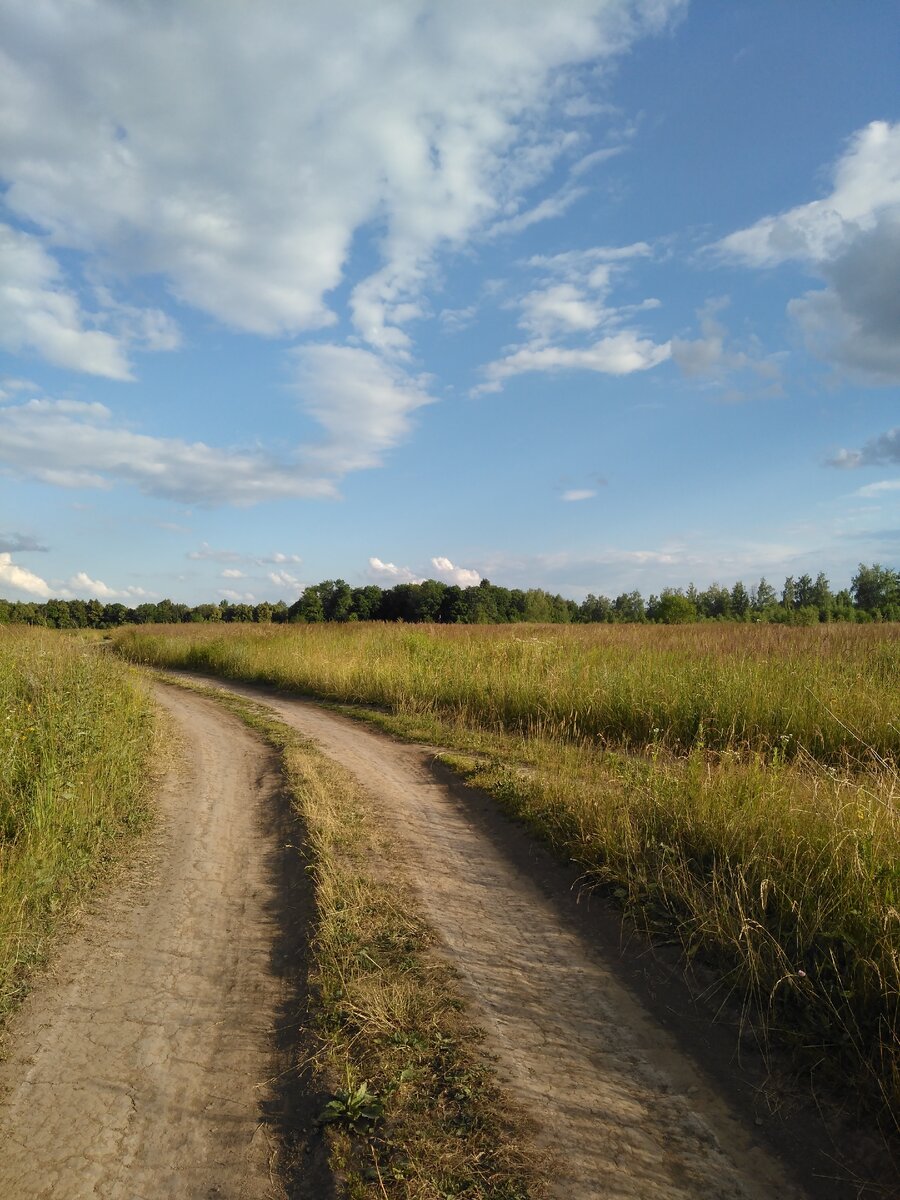 фото автора. Дорога к деревне