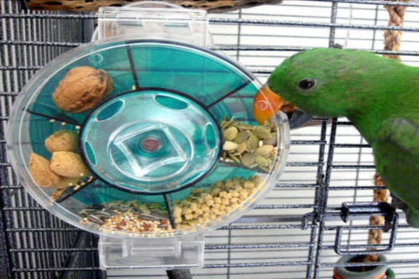 Устройство для развития сообразительности