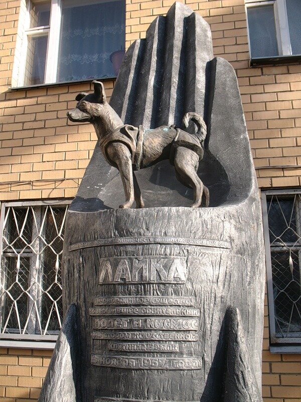 Памятник Лайке