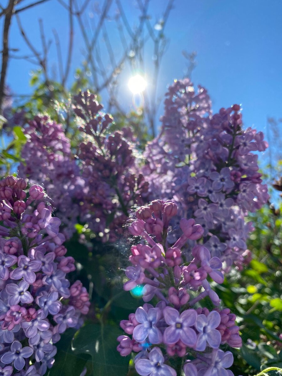 Фото от Чёрных Любови 