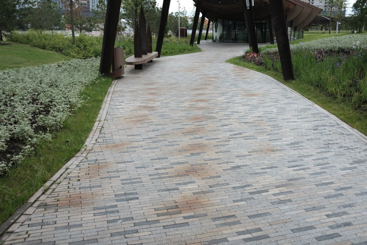  Дорожка в Парке Тюфелева роща в Москве. Ржавчина пятнами.