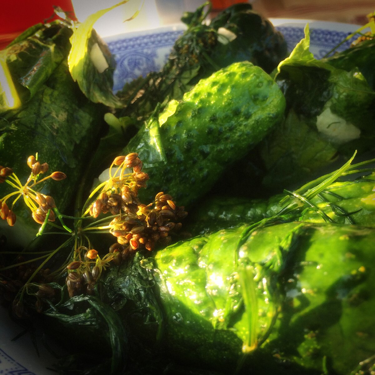 Малосольные огурцы, приготовленные в пакете без рассола