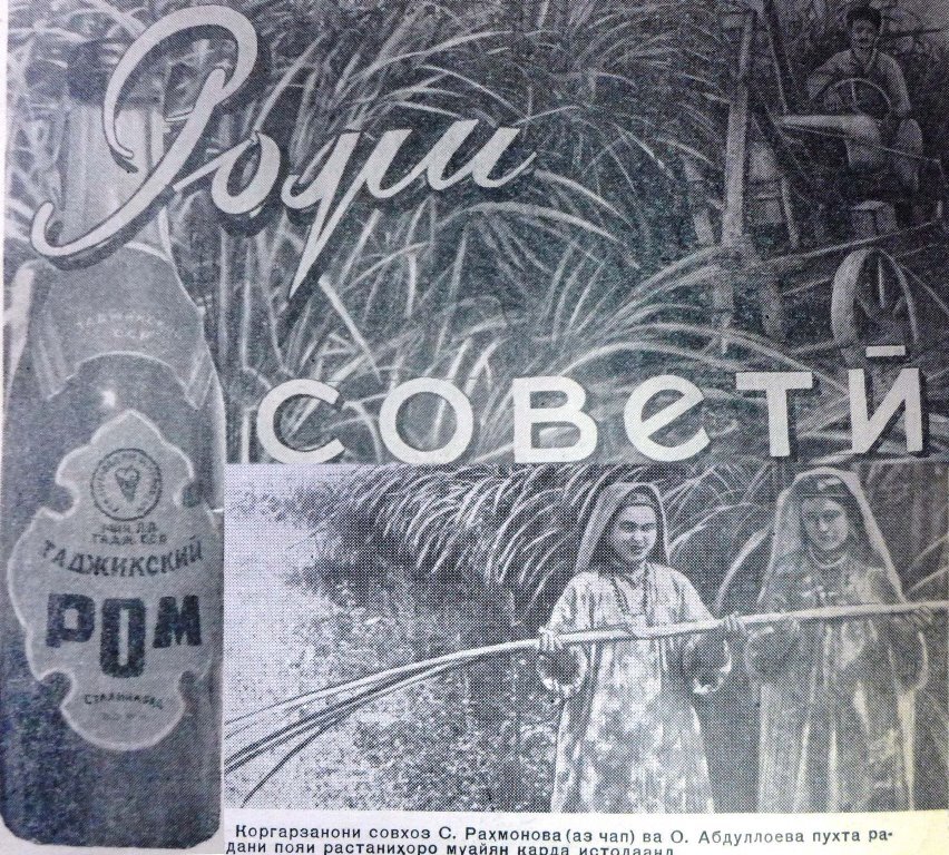 Таджикский ром. Фото предоставлено Гафуром Шерматовым