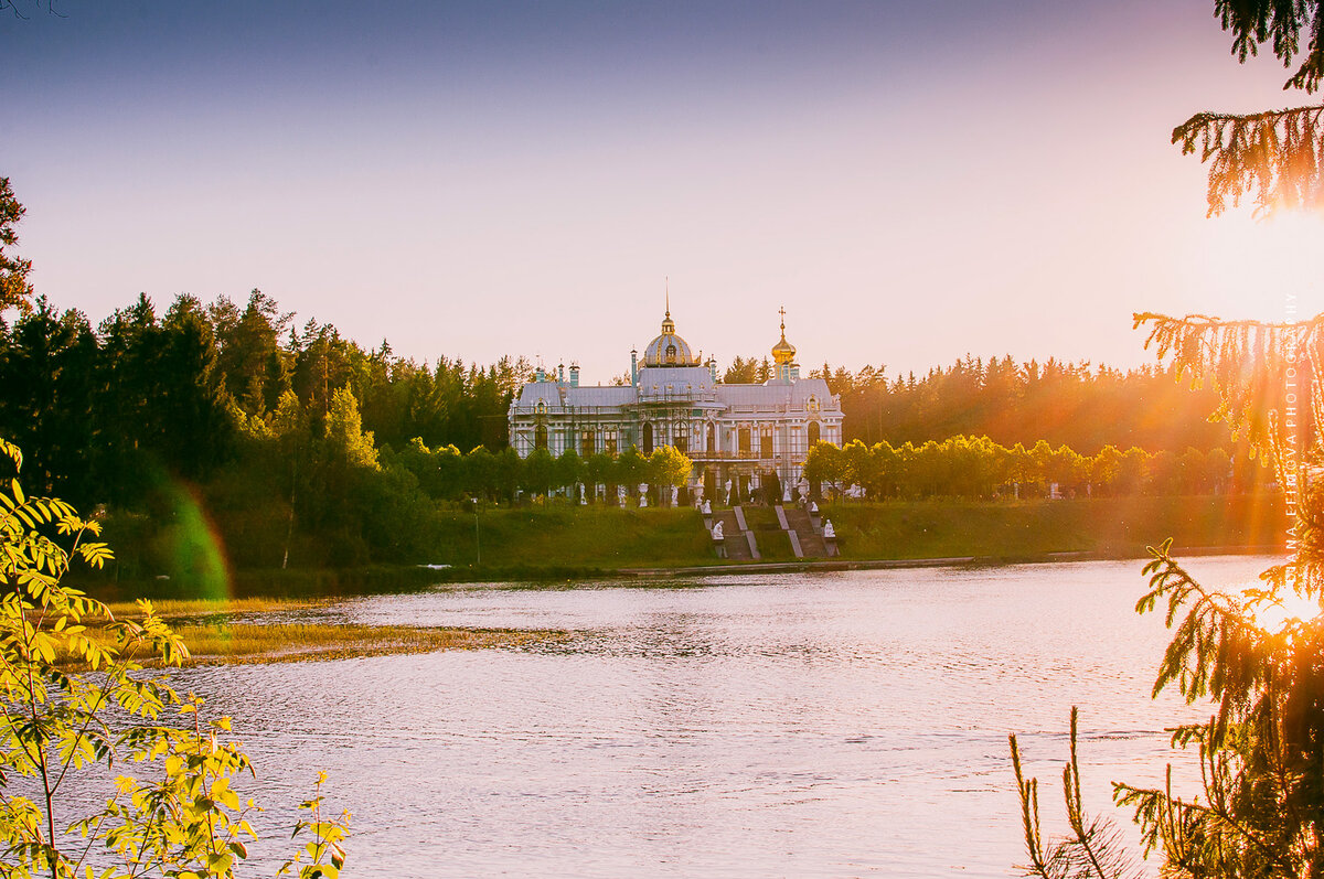 Вырица осень