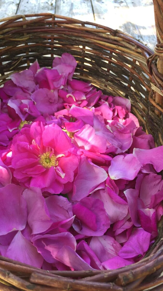 Пока только половина корзины. Дальше будет больше.