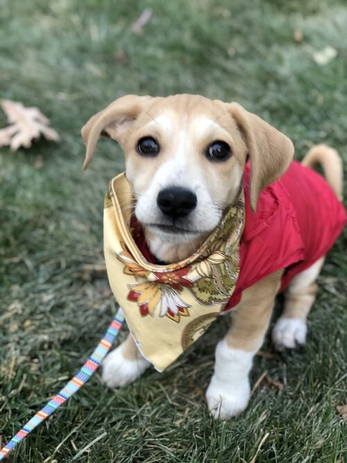 Фотография взята с Unsplash (by Elly Filho)