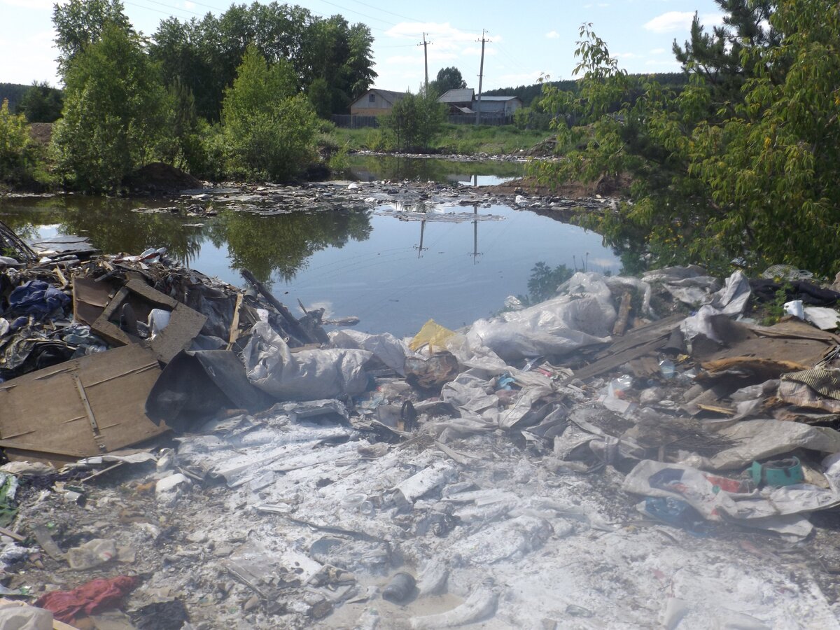 Фото автора.