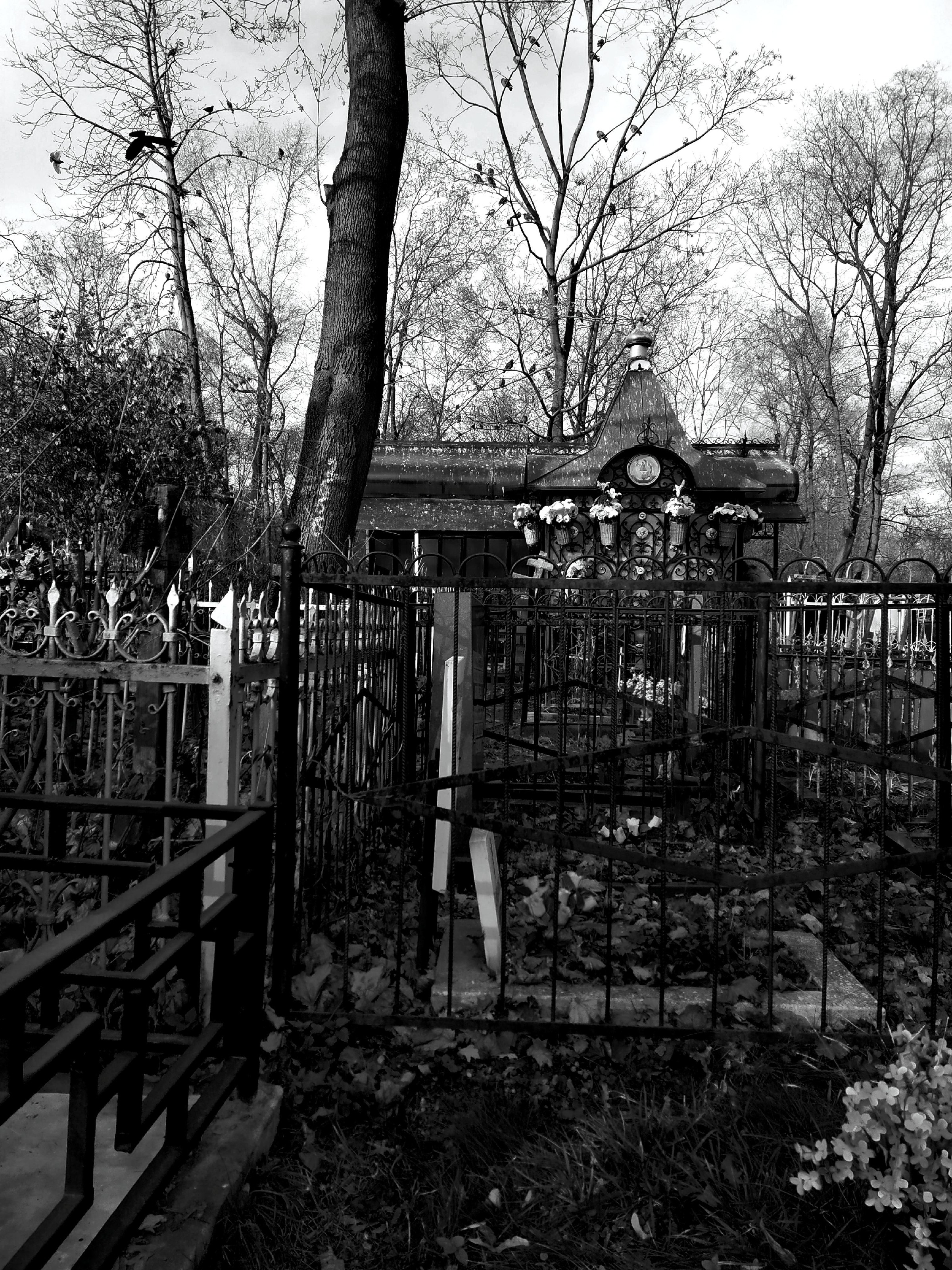 кладбище москвы фотографии