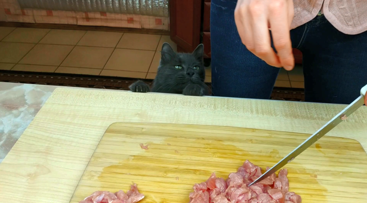 Вася просит мясо