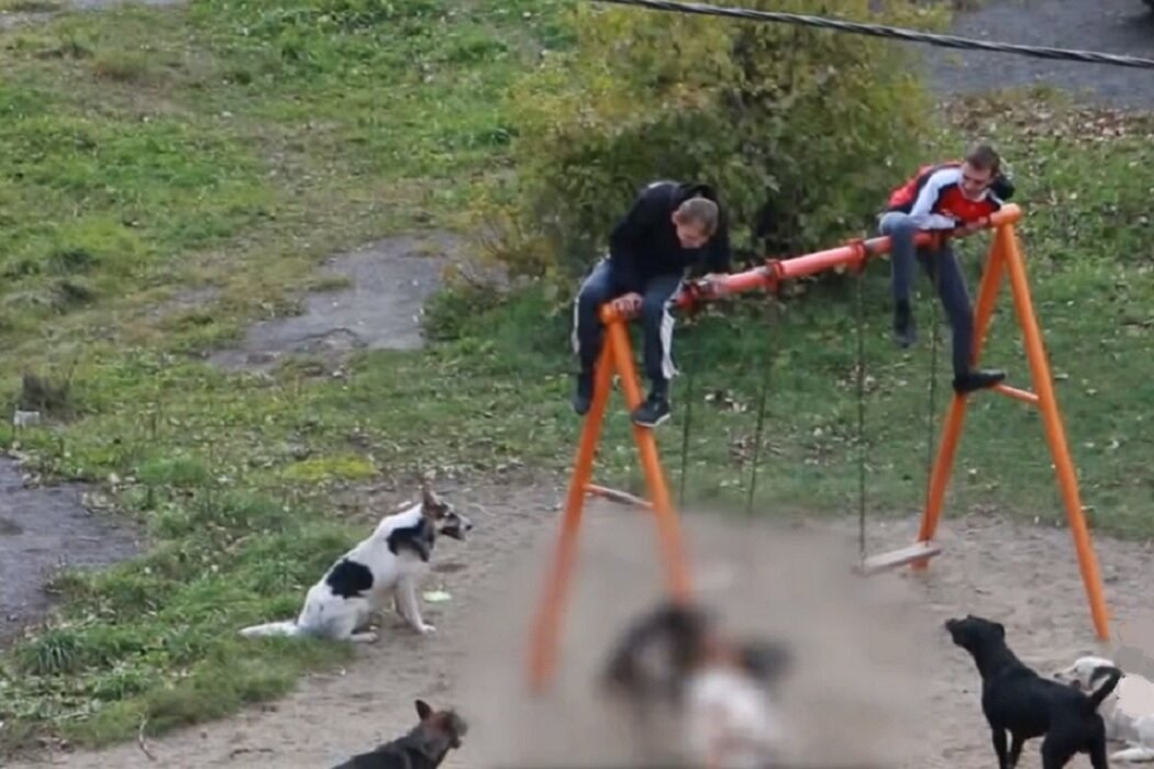 Взято с сайта  forum-beta.sakh.com 