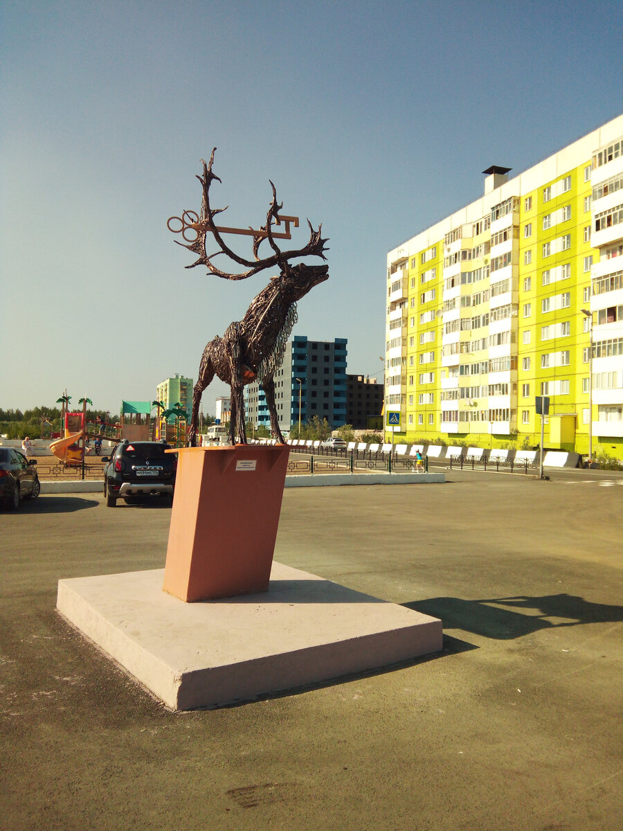 Северный олень в Талнахе.