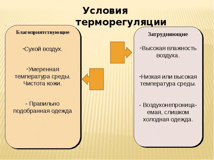 Вот почему вы всегда мерзнете: врачи назвали 10 неожиданных причин