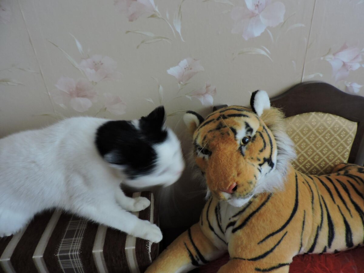 фото  автора